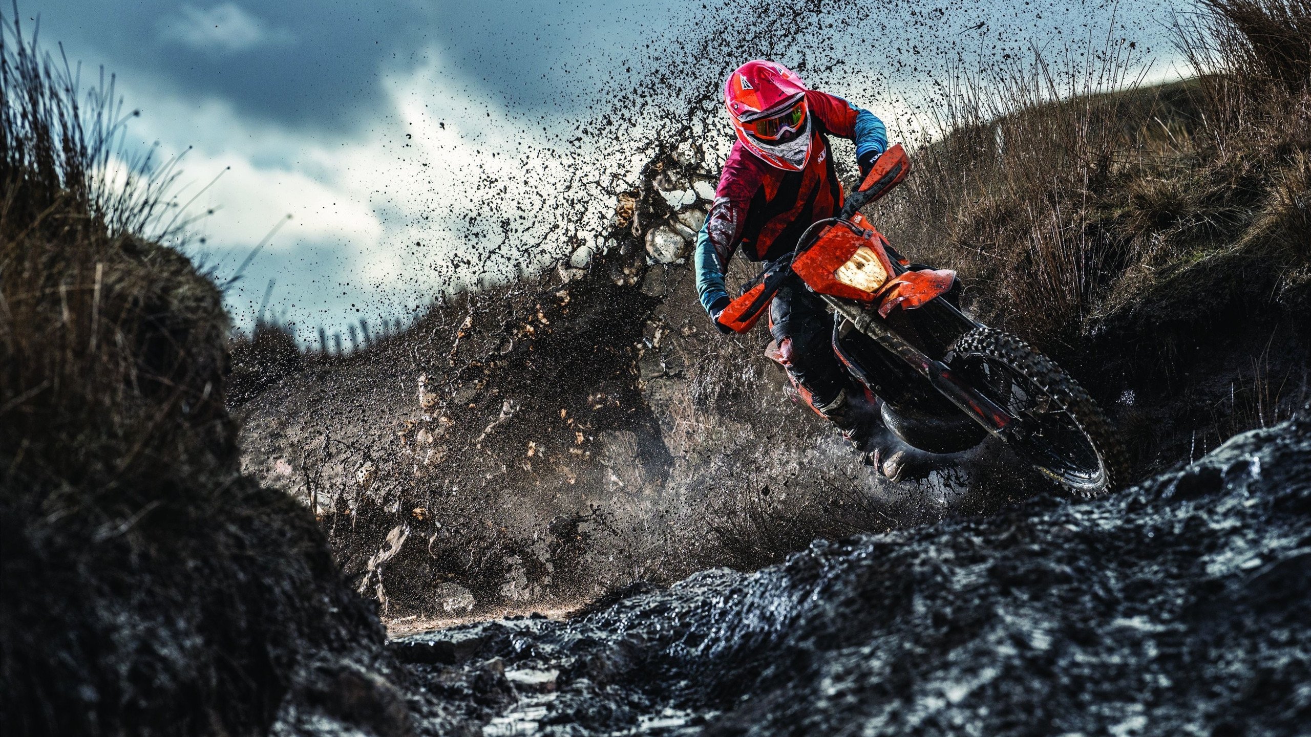 2026世界杯焦点战，委内瑞拉提前终结悬念，沙特黯然离场