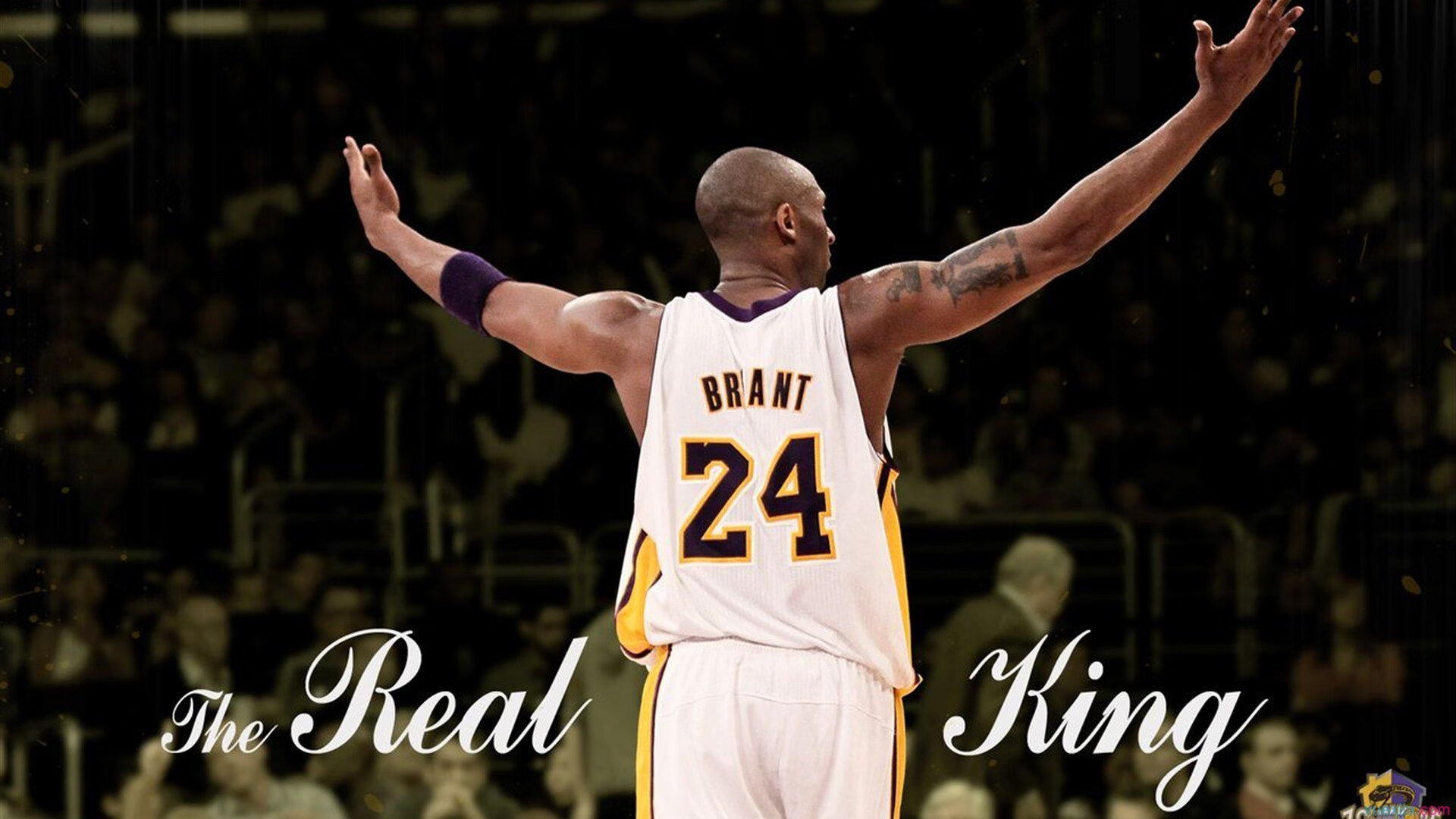 冰火交锋,韩国队险胜瑞典队,王皓刷新纪录书写传奇